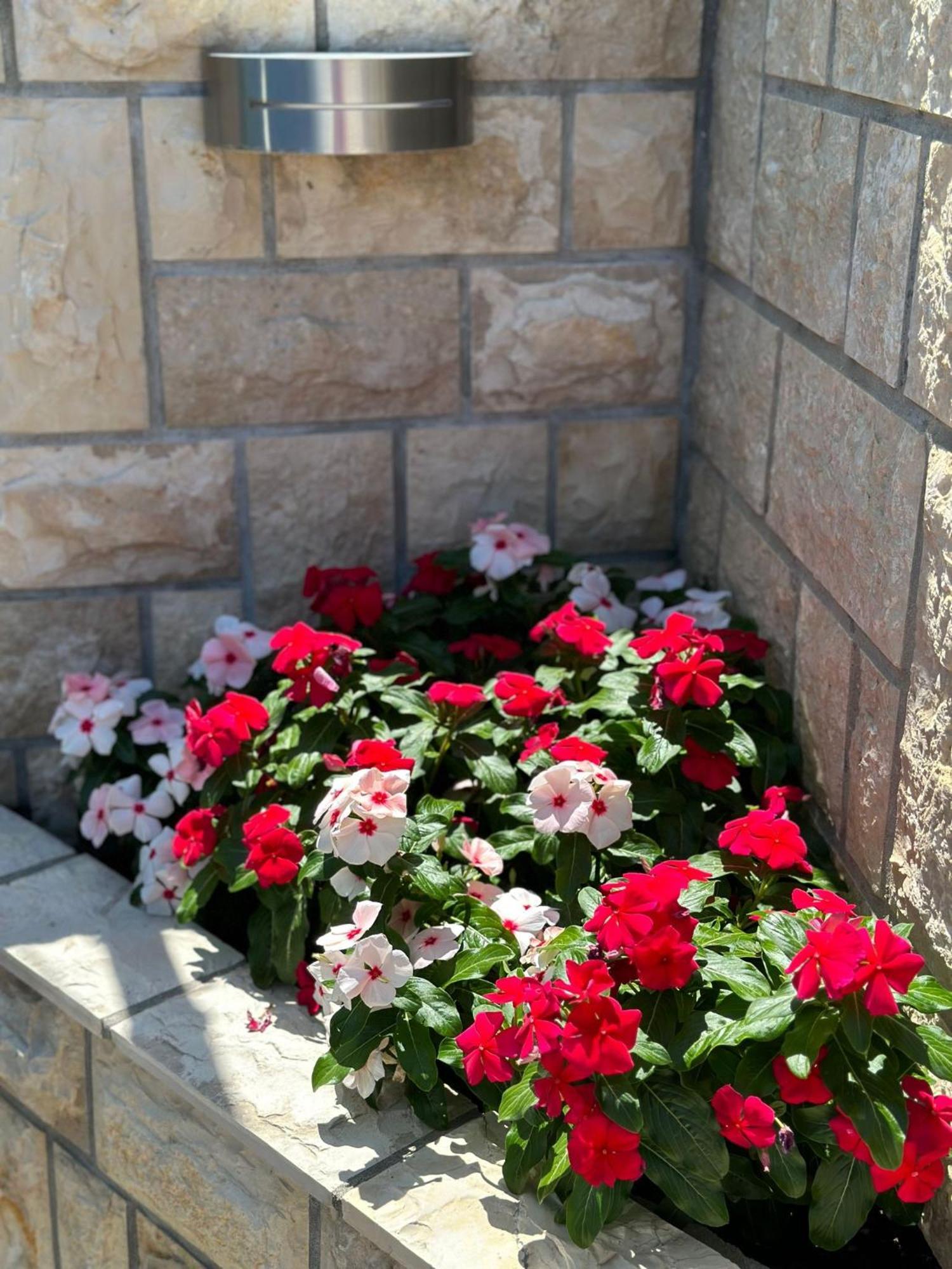 Apartments Vinse Near Rab Center Rab Town Exterior foto