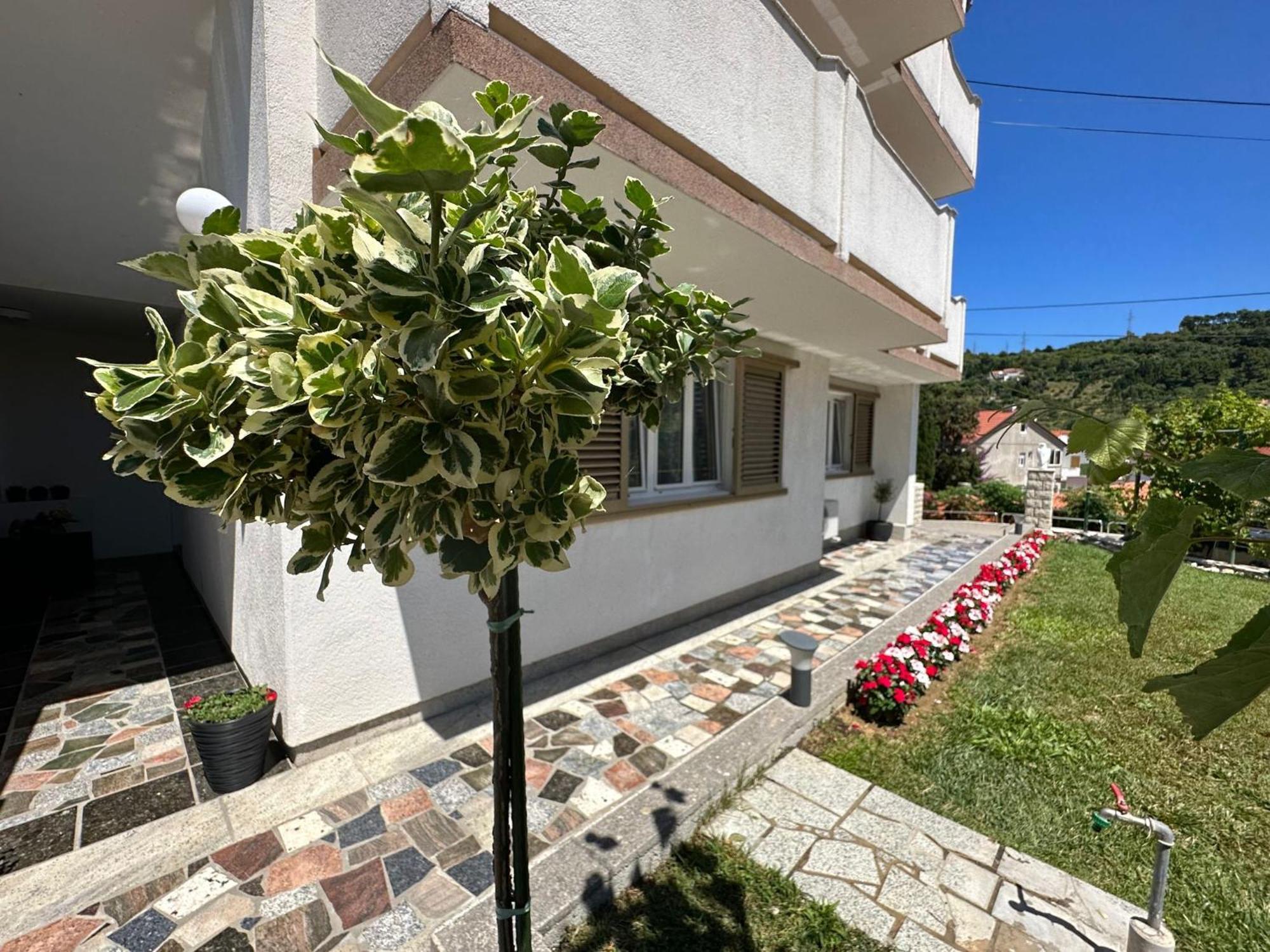 Apartments Vinse Near Rab Center Rab Town Exterior foto